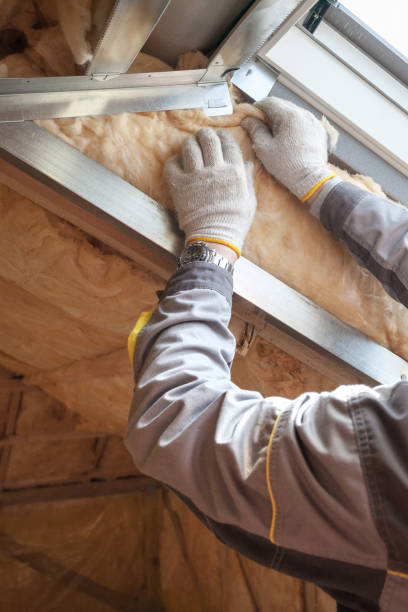 Best Reflective Insulation  in Diamond Springs, CA